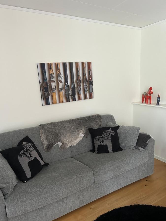 Joaengets Fjaellgard 18A Daire Sälen Dış mekan fotoğraf